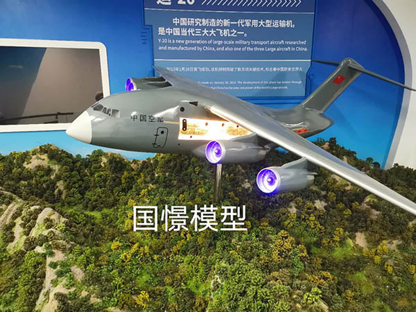 勐海县飞机模型